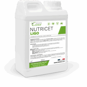 NUTRICET LIGO
