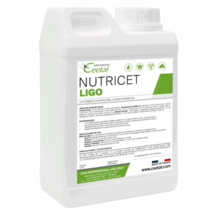 imagenes pagina web (25) NUTRICET LIGO